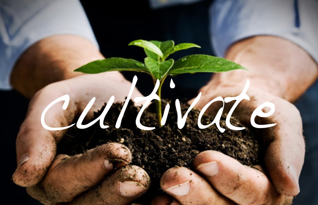 cultivate