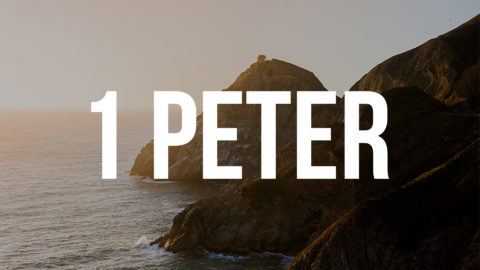 1-Peter-Artwork-480x270