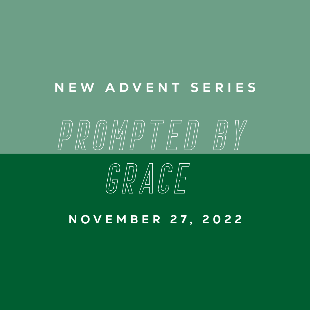 project_20221203_2220149-01